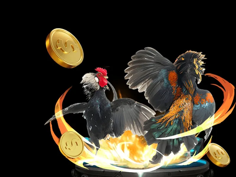 Đá gà Thomo kịch tính tại Jun8